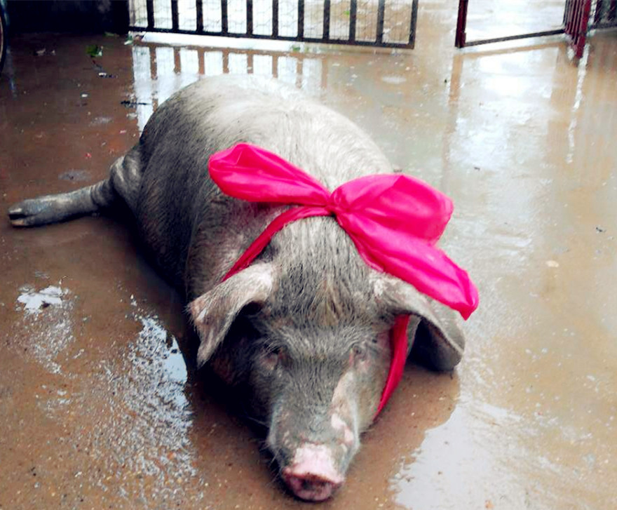 微信图片_20180419165340_副本_副本.jpg 微信图片_20180419165340_副本_副本.jpg